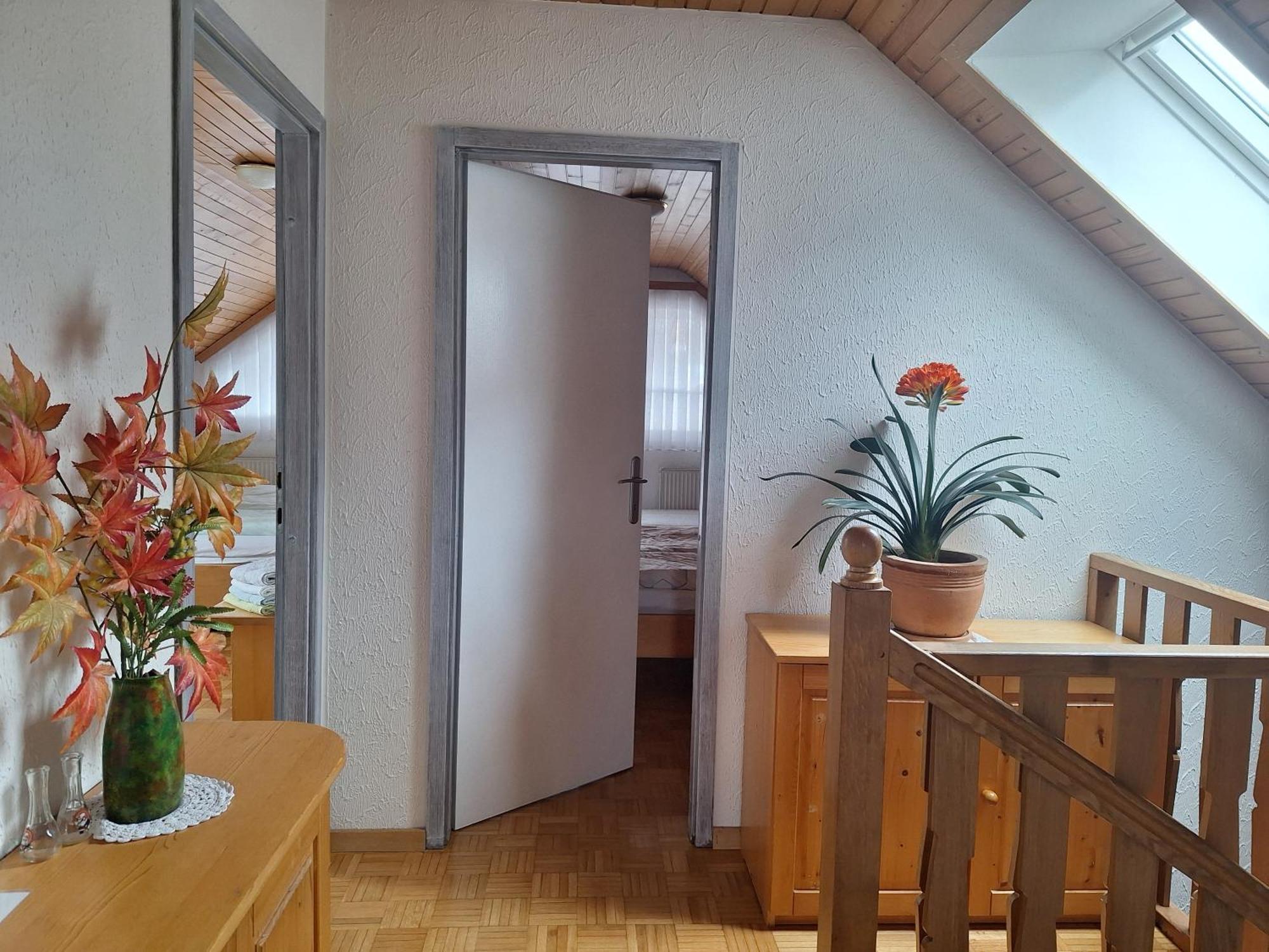 Apartmaji Marinka Hodnik Бохінь Екстер'єр фото